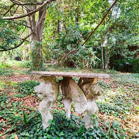 Casa Διαμέρισμα *